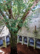 Muckross Abbaye au Parc National de Killarney