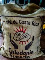 Café du Costa Rica