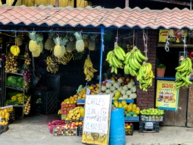Fruits et légumes du Costa Rica