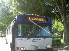 Bus Disney vers Animal Kingdom