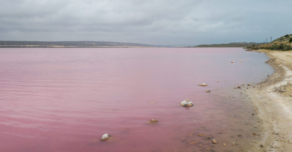 Pink Lake